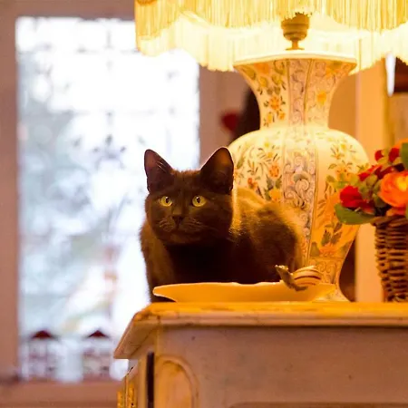 La Minaudiere 62 La Capelle-lès-Boulogne